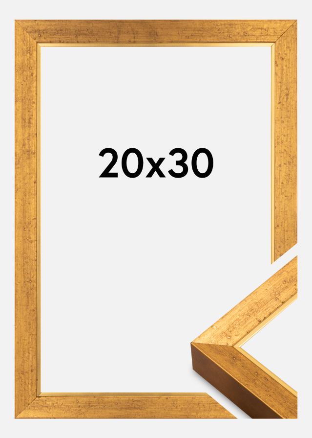 Ramă Brema Plexiglas Aur 20x30 cm