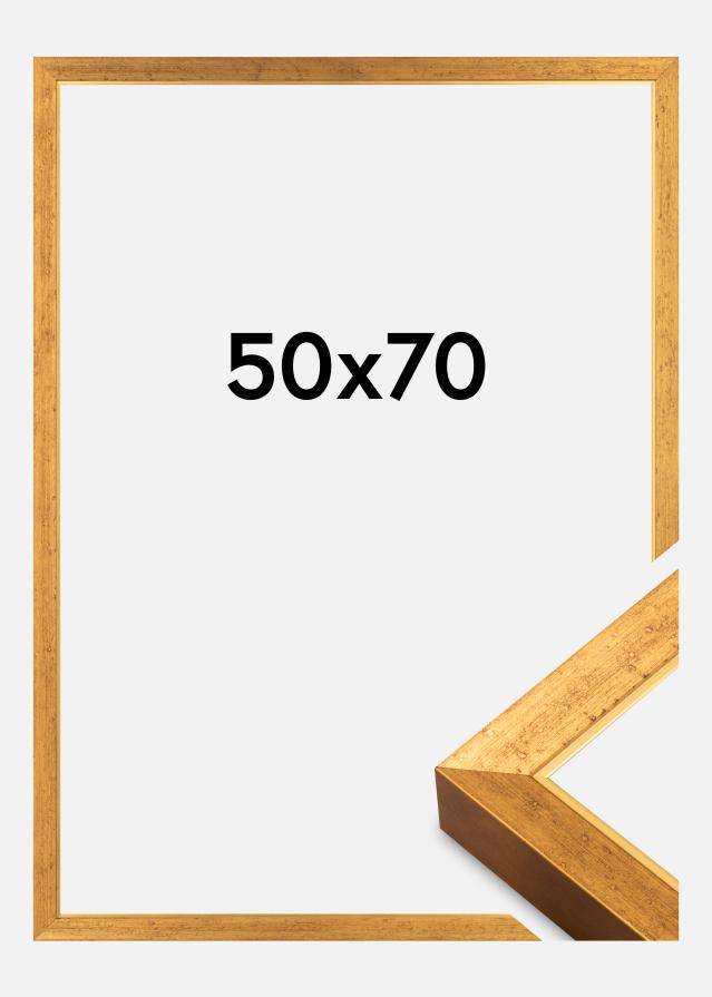 Ramă Brema Akrylglas Auriu 50x70 cm