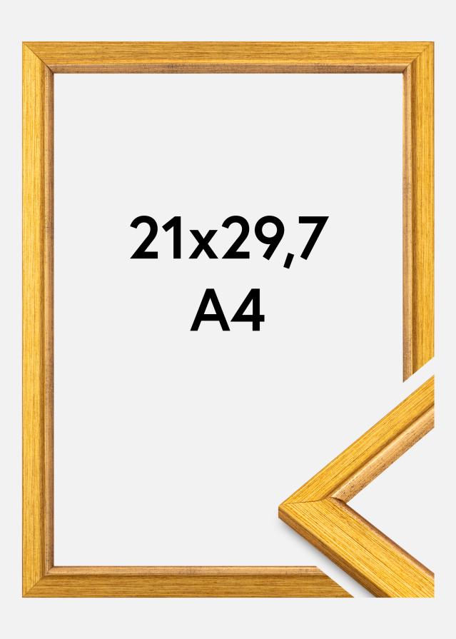 Ramă Marisa Akrylglas Auriu 21x29,7 cm (A4)