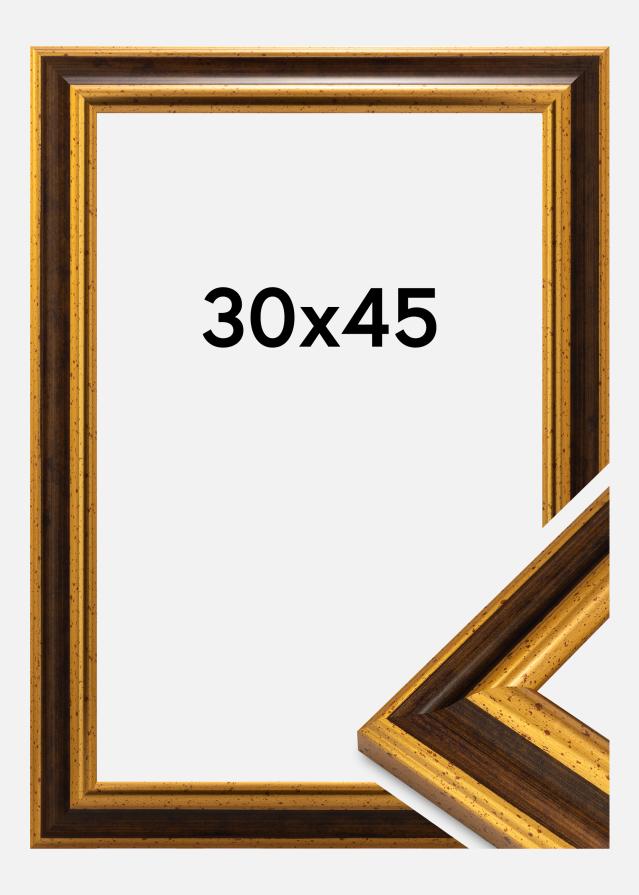 Ramă Aberystwyth Sticlă acrilică Auriu 30x45 cm