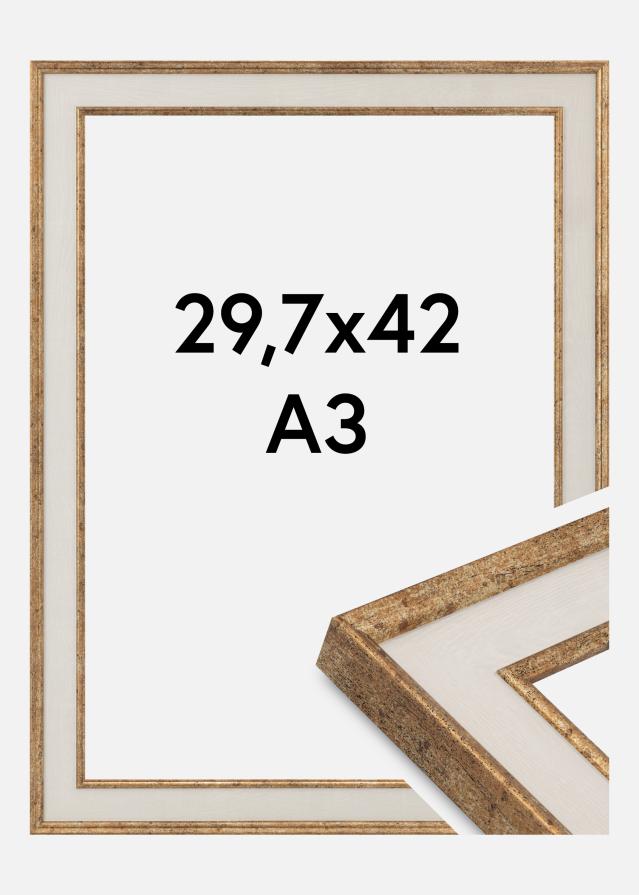 Ramă Dolly Sticlă acrilică Auriu 29,7x42 cm (A3)