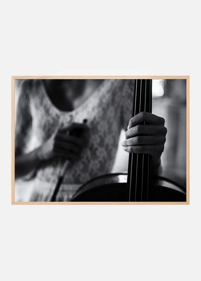 break for the cello Poster