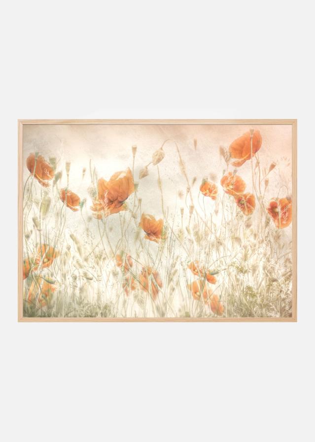 Poppies in the field Poster