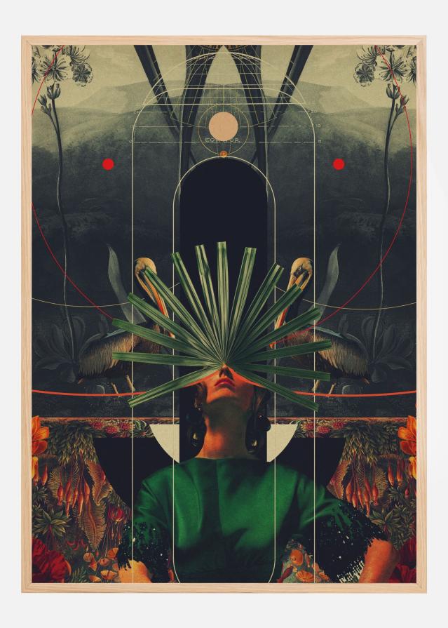 She Saw the Equator Poster