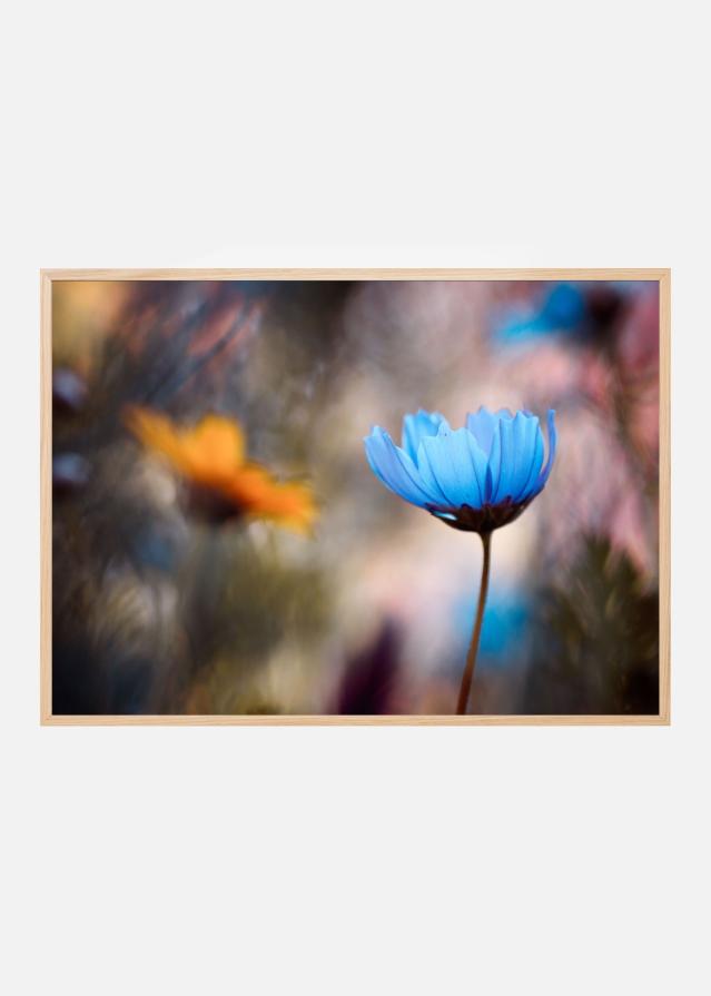 Do you wanna dance with me Poster