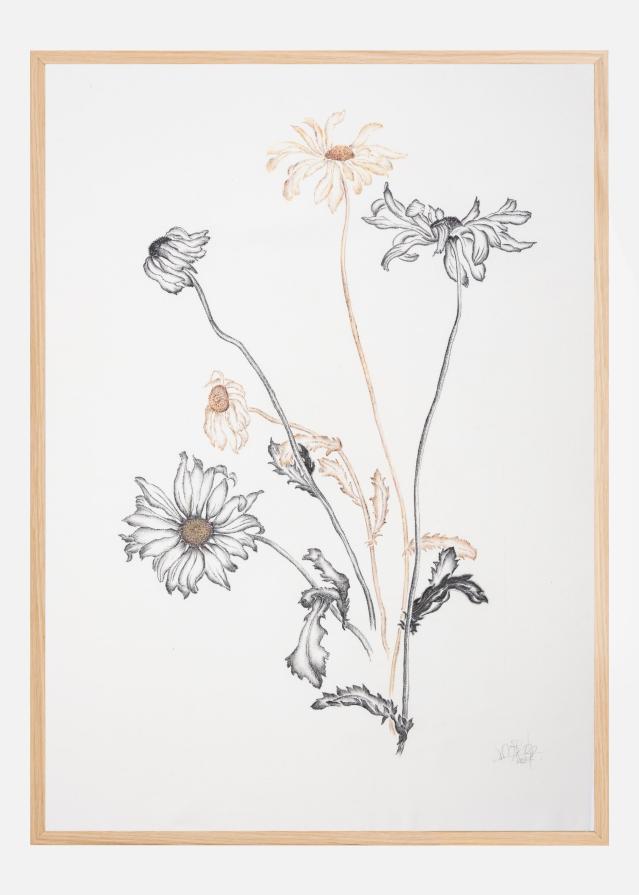 Where Have All the Flowers Gone Poster