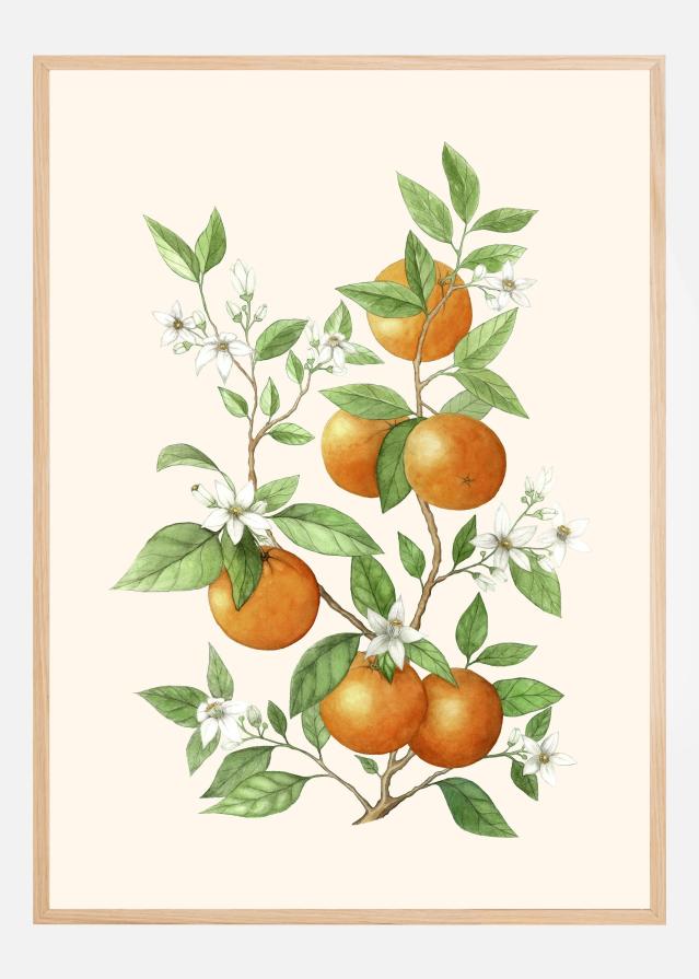 Laranja - Orange Fruit Poster