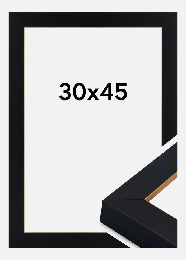Ramă Sussex Sticlă acrilică Negru/Auriu 30x45 cm