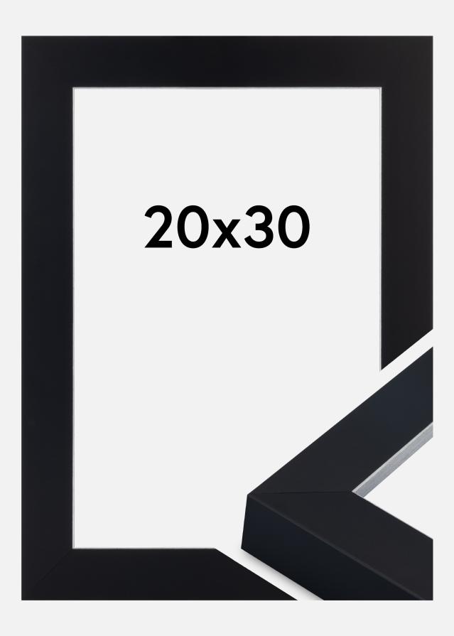 Ramă Sussex Sticlă acrilică Negru/Argintiu 20x30 cm