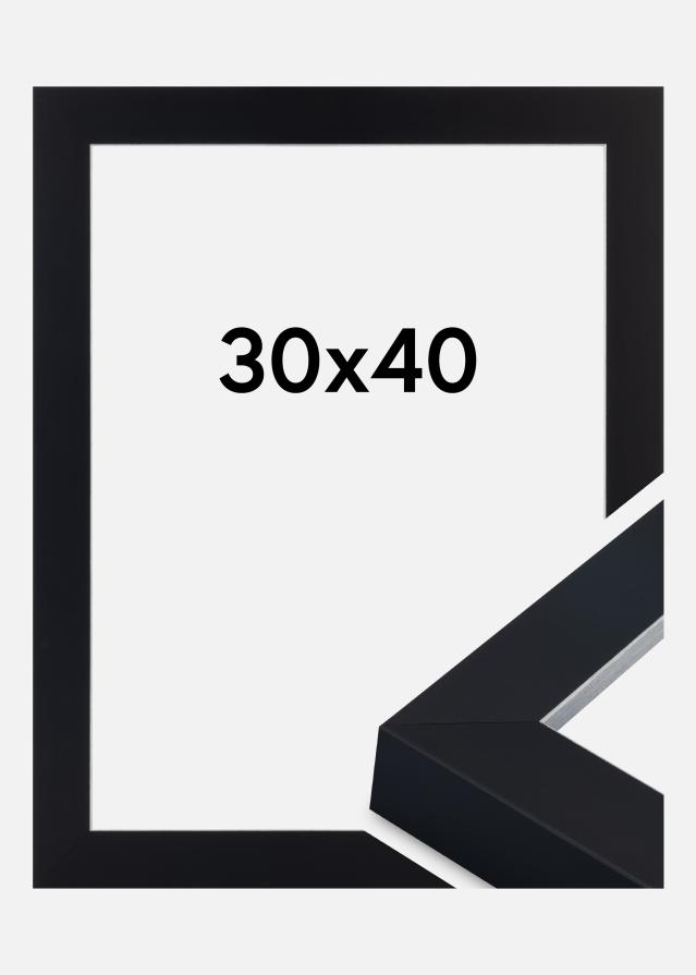 Ramă Sussex Sticlă acrilică Negru/Argintiu 30x40 cm