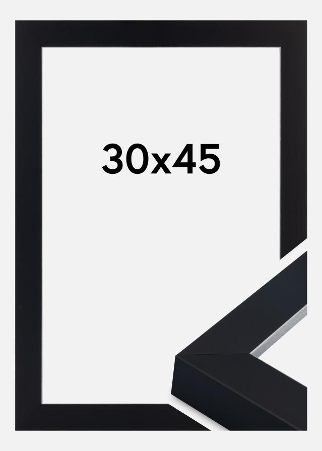 Ramă Sussex Sticlă acrilică Negru/Argintiu 30x45 cm