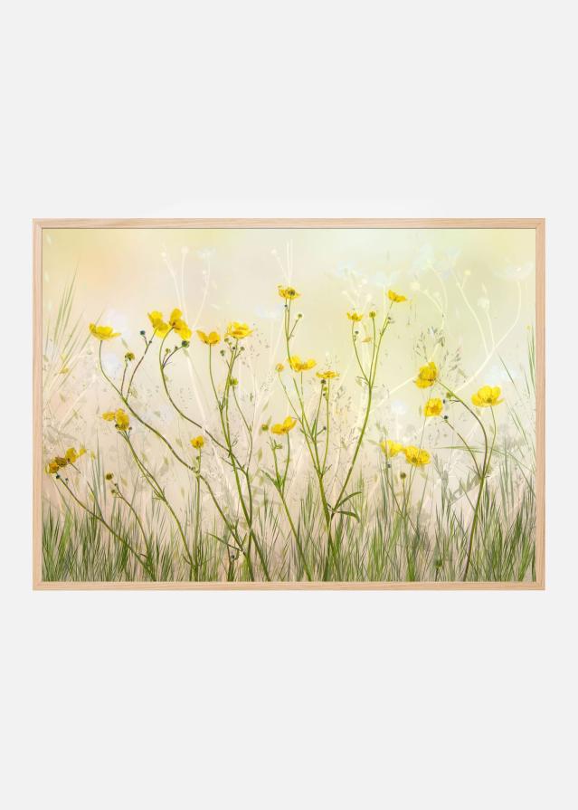 Good morning! Poster