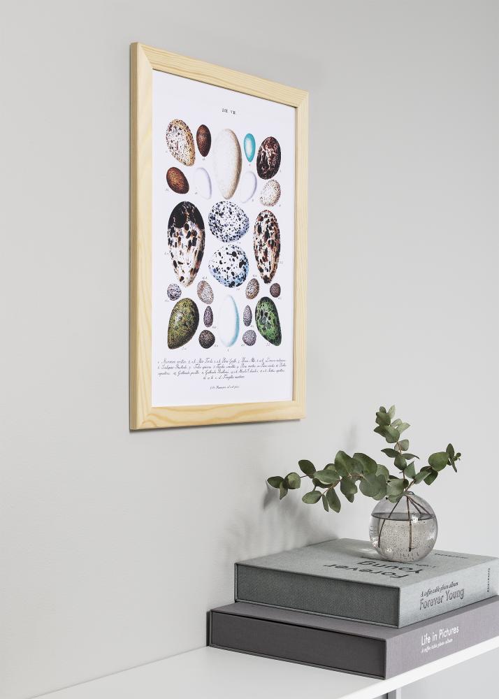 Ramă Trendline Natură 40x40 cm - Paspartuuri Alb 10x10 inches