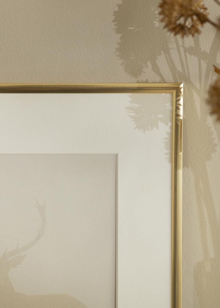 Ramă New Lifestyle Aur 60x90 cm - Paspartuuri Alb 50x75 cm