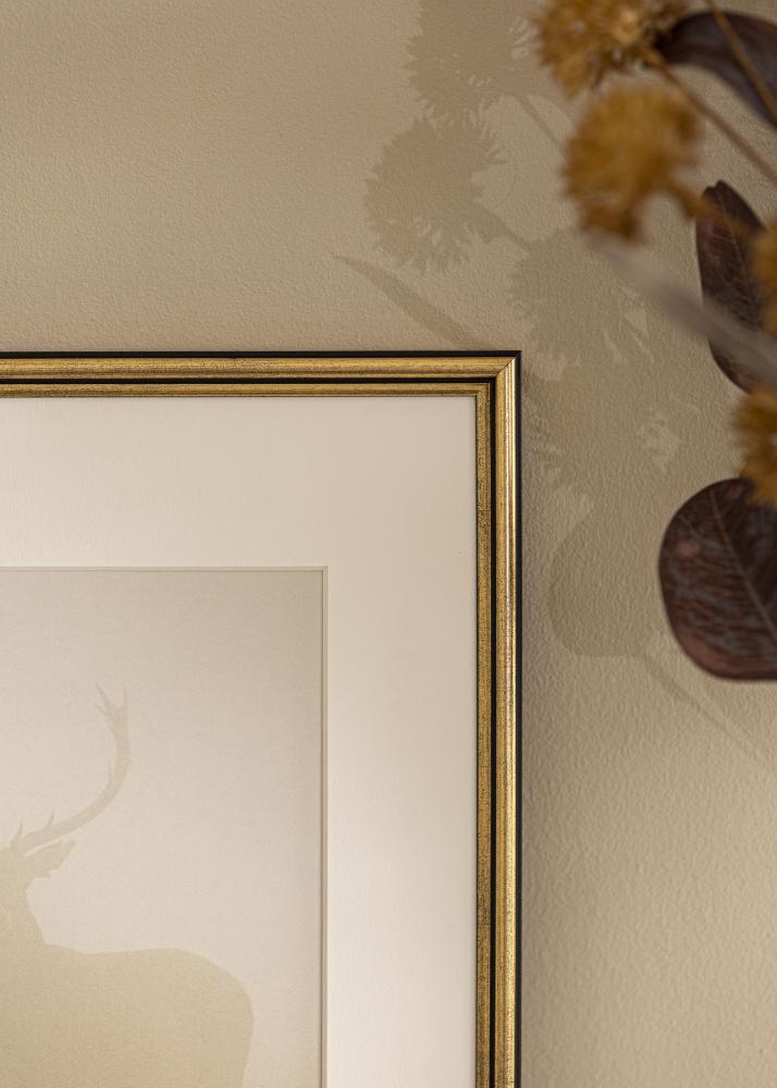 Ramă Horndal Sticlă acrilică Auriu 7x10 cm