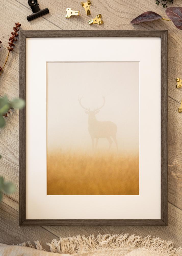 Ramă Gri Stejar Ares 45x60 cm - Paspartuuri Alb B3 353x500 mm