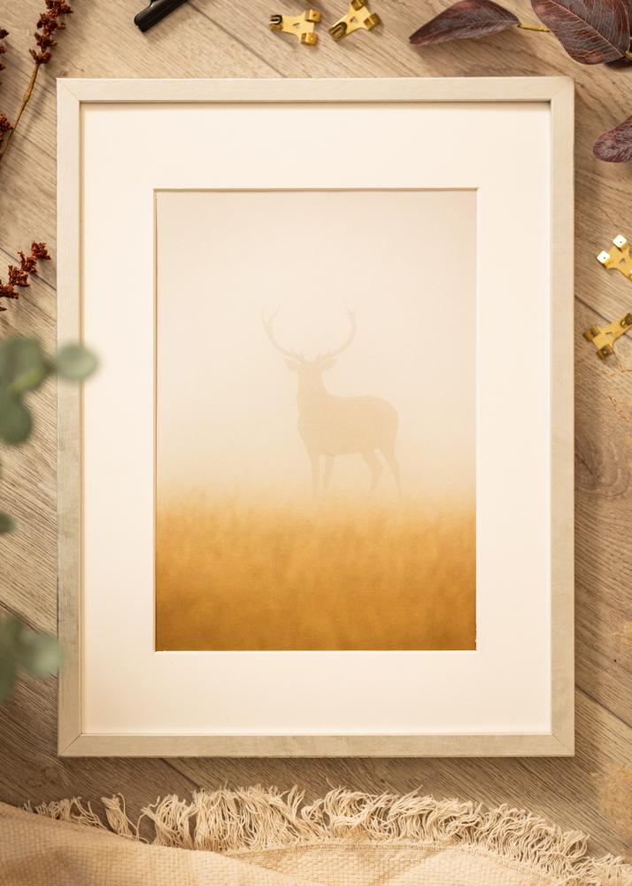 Ramă Ares Argint 24x30 cm - Paspartuuri Alb 7x9 inches