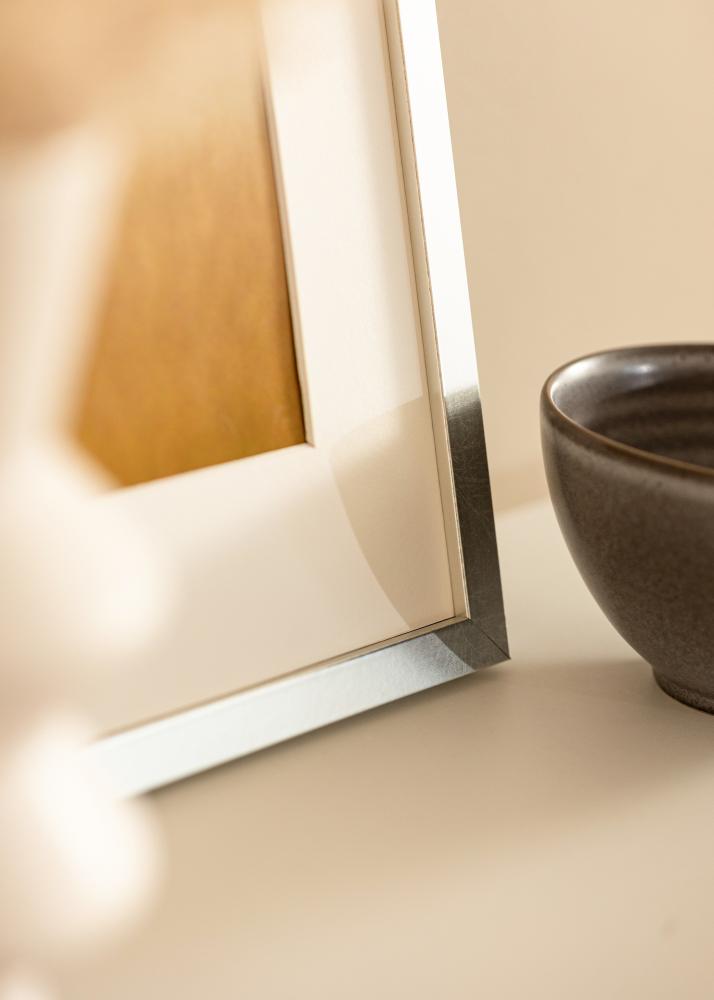 Ramă Minerva Argint 30x40 cm - Paspartuuri Alb 20x30 cm