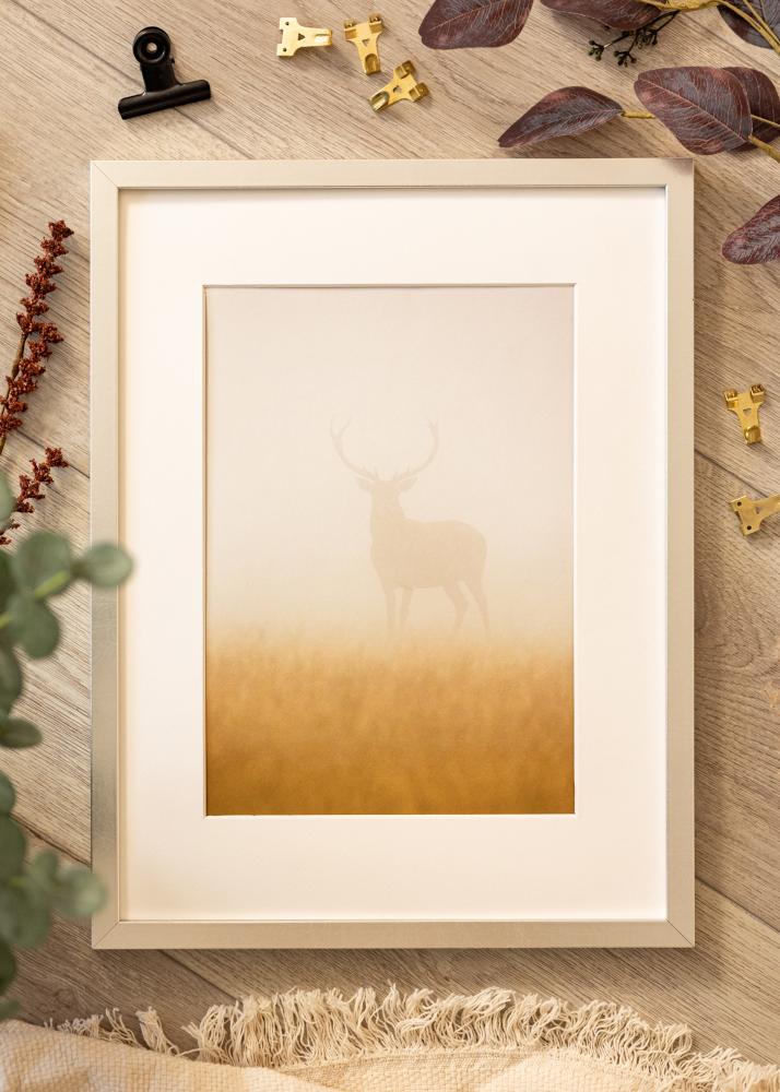 Ramă Minerva Argint 30x40 cm - Paspartuuri Alb 20x30 cm