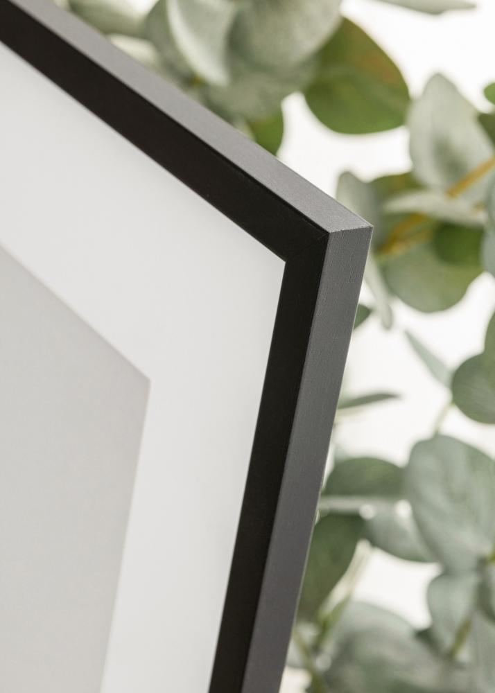Ramă Edsbyn Sticlă acrilică Negru 10x21 cm