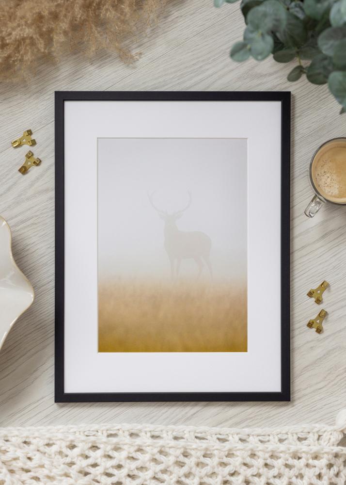 Ramă Edsbyn Sticlă acrilică Negru 10x21 cm