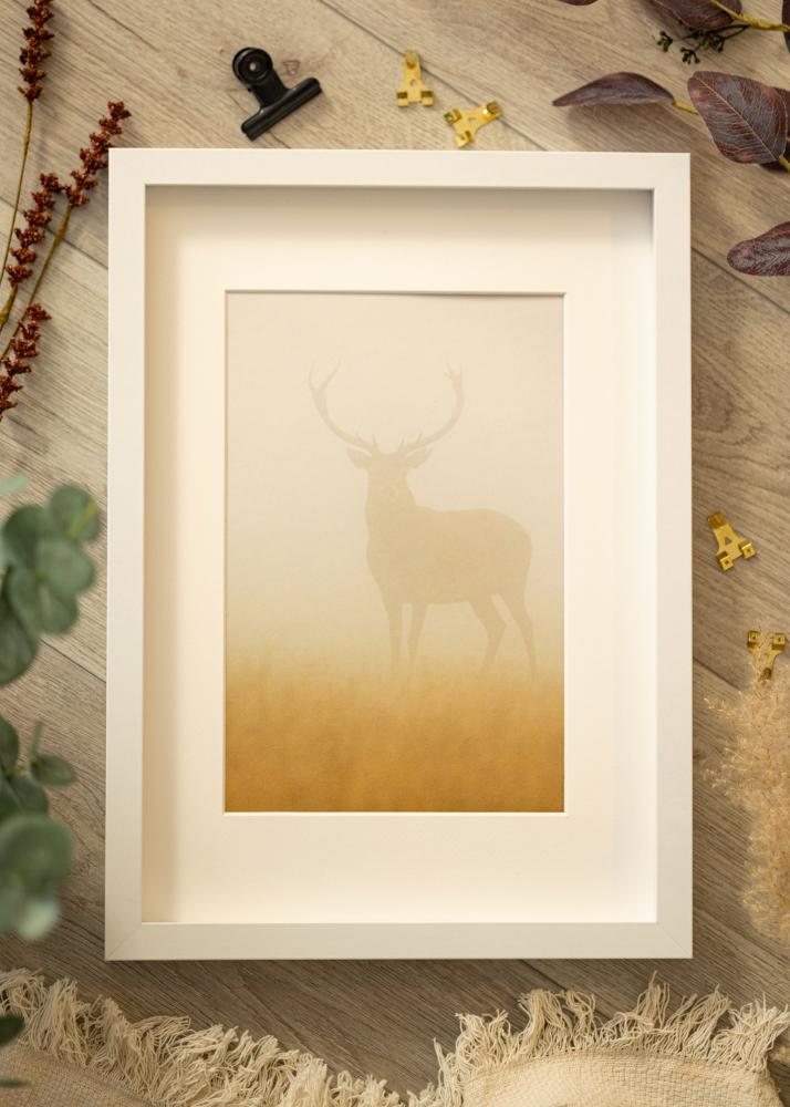 BGA Cadru cutie Alb 40x60 cm - Paspartuuri Alb 32,9x48,3 cm