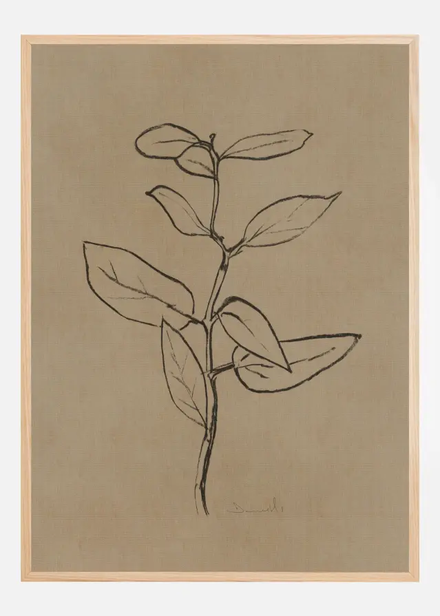 Eucalyptus Sapling Poster