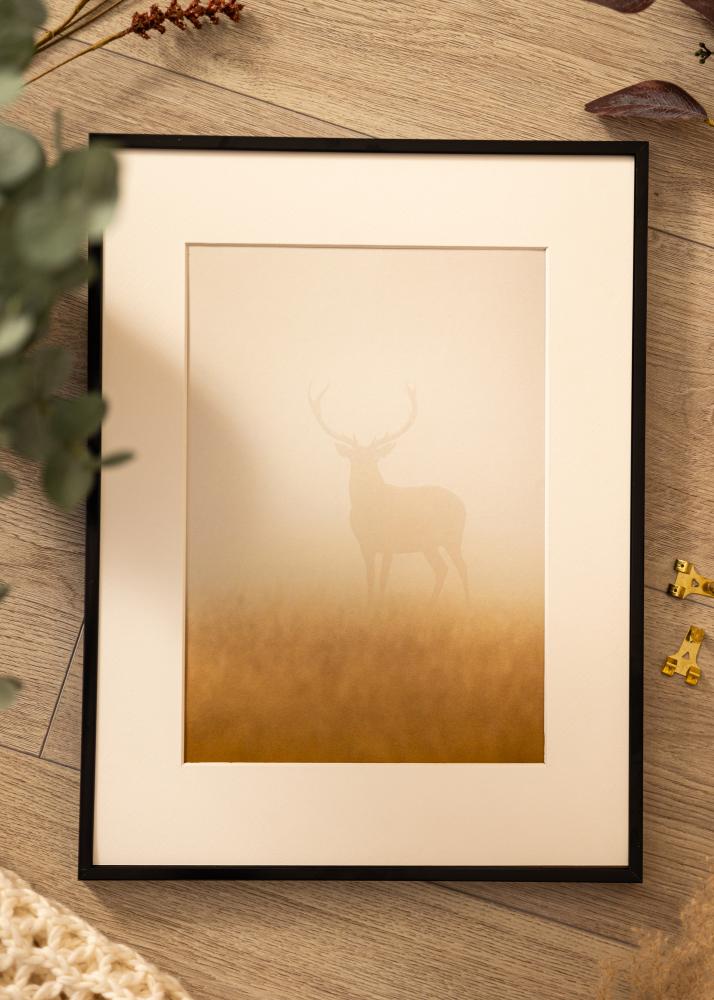 Rame din aluminiu Sticlă acrilică Negru 21x29,7 cm (A4)