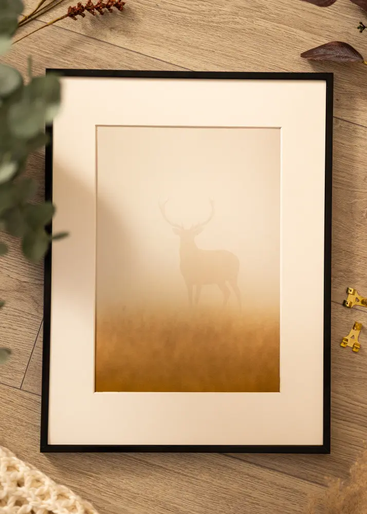 Rame din aluminiu Sticlă acrilică Negru 40x50 cm