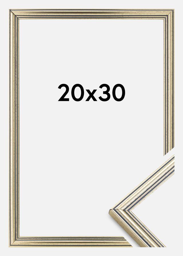 Ramă Classic Argintiu 20x30 cm