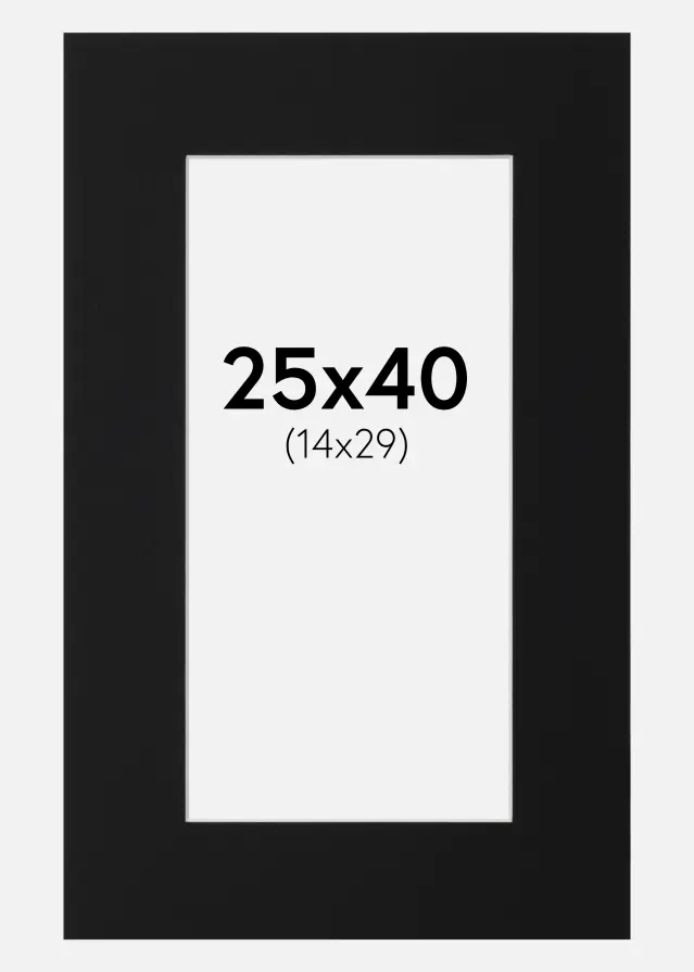 Paspartu Negru Standard (Miez Alb) 25x40 cm (14x29)