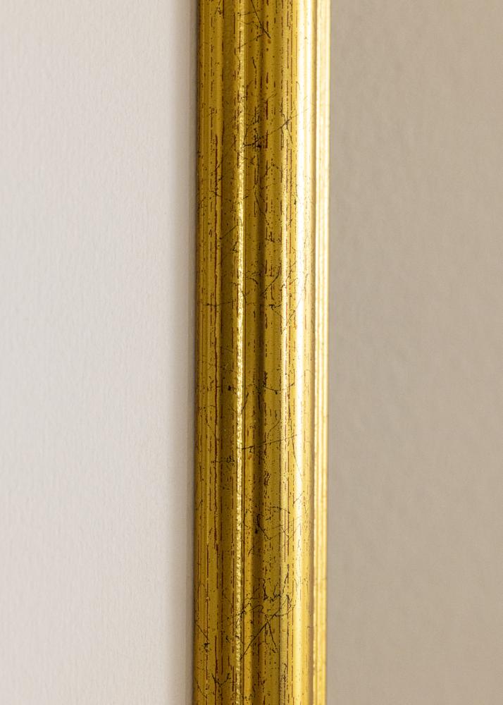 Ramă Västkusten Sticlă acrilică Auriu 59,4x84 cm (A1)