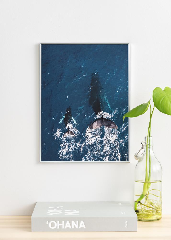 Ramă Can-Can Argintiu 40x60 cm