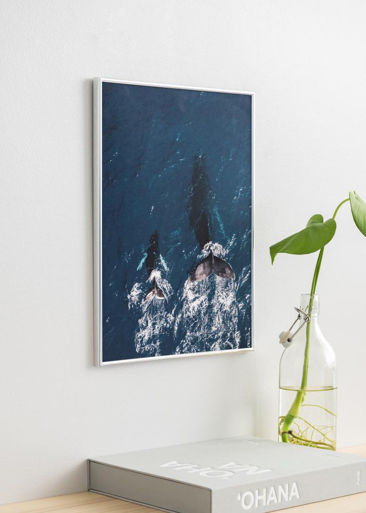 Ramă Can-Can Argintiu 40x60 cm