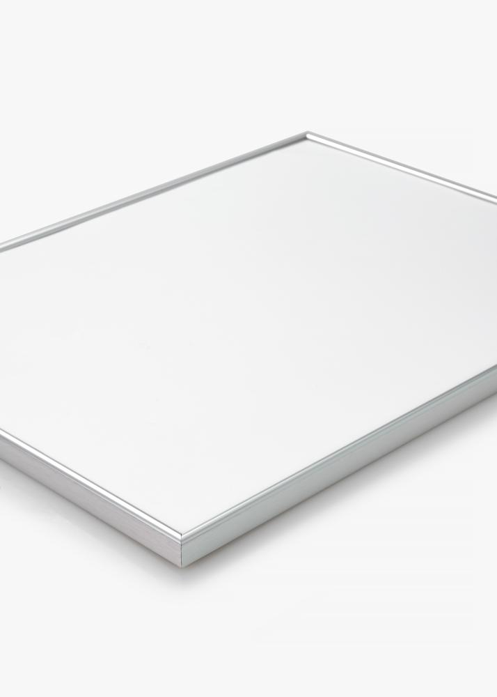 Ramă Can-Can Argintiu 40x60 cm