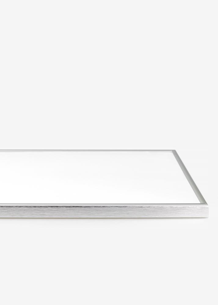 Ramă Can-Can Argintiu 40x60 cm