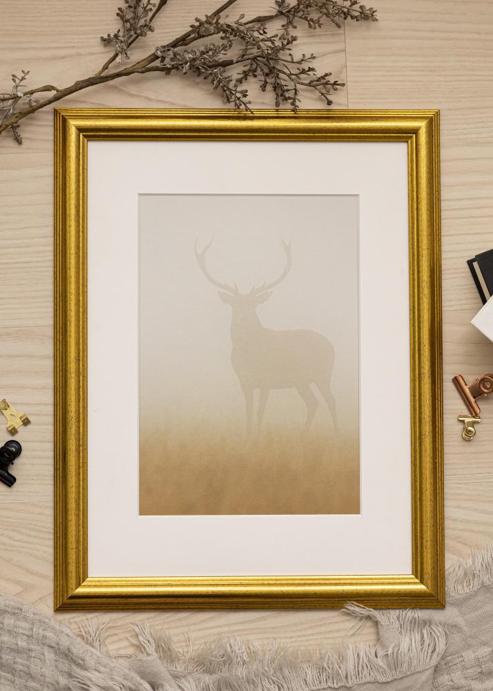 Ramă Västkusten Sticlă acrilică Auriu 59,4x84 cm (A1)