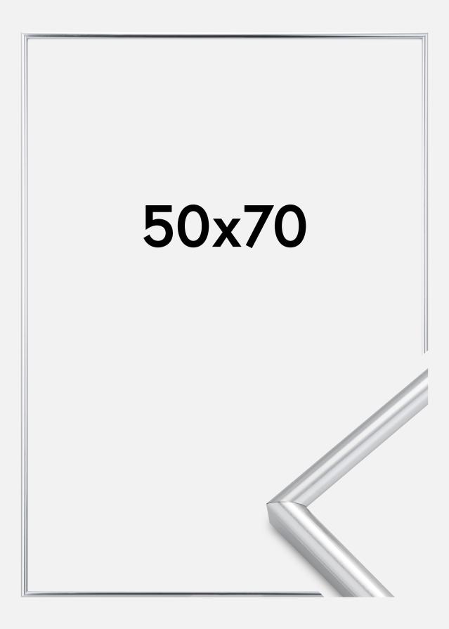 Ramă Galeria Argintiu 50x70 cm