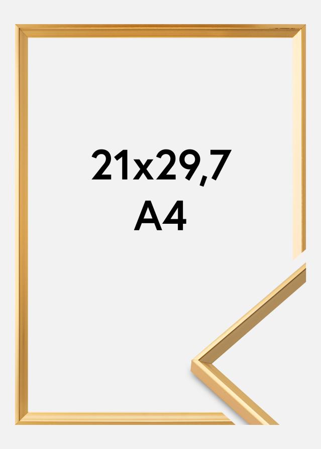 Ramă Desire Auriu 21x29,7 cm (A4)