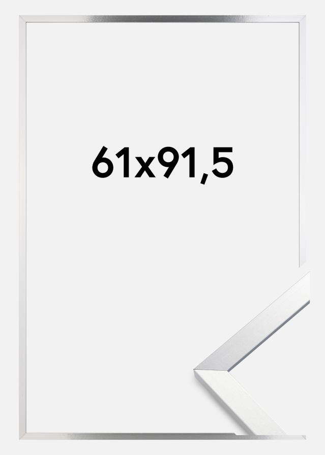 Ramă Trendy Sticlă acrilică Argint 61x91,5 cm