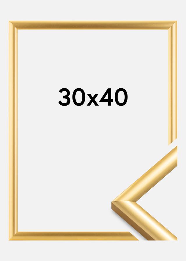 Ramă Trendstyle Auriu 30x40 cm