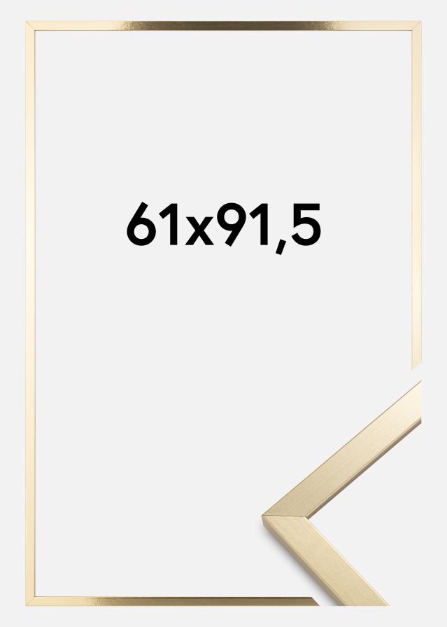 Ramă Trendy Sticlă acrilică Auriu 61x91,5 cm