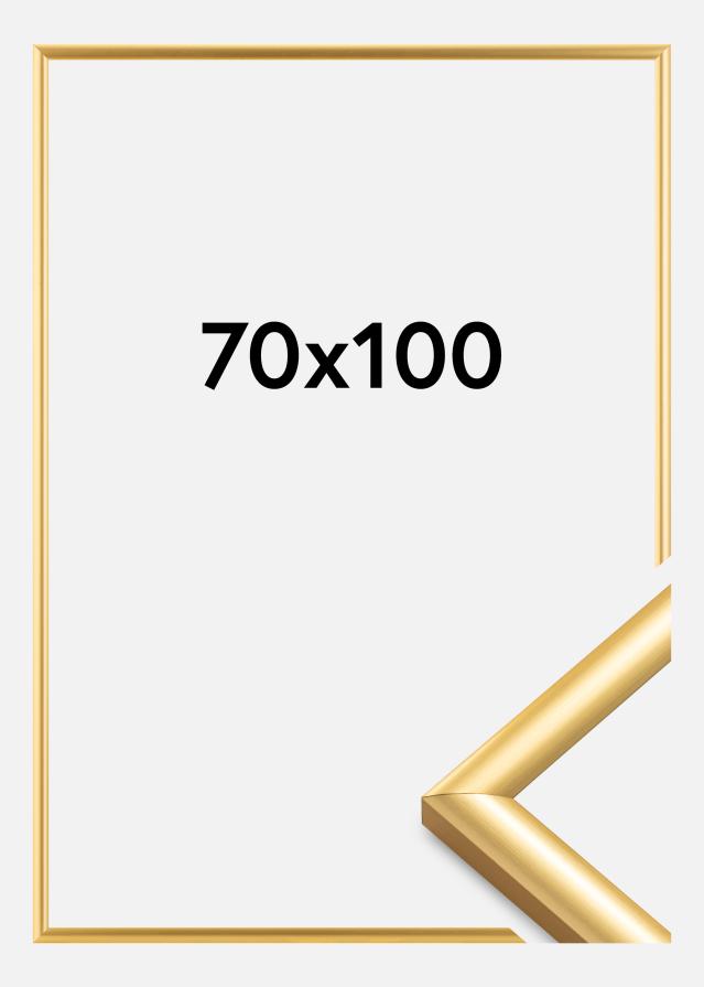 Ramă Trendstyle Auriu 70x100 cm