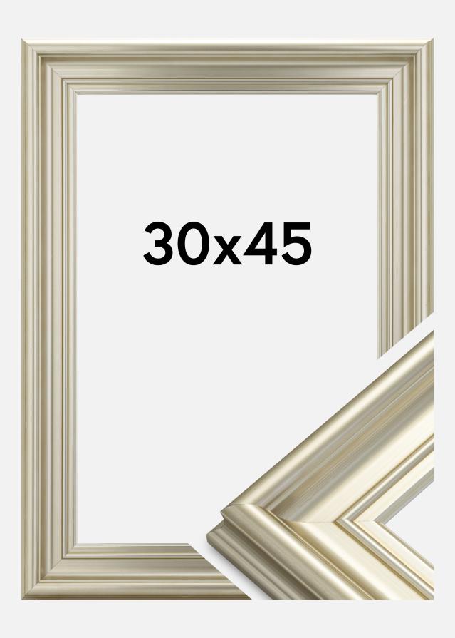 Ramă Mora Premium Argintiu 30x45 cm