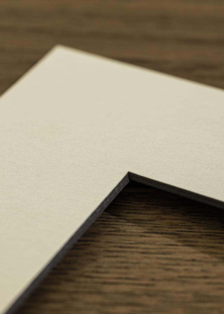 Paspartu Alb Margine neagră 20x25 cm (14x19 cm)