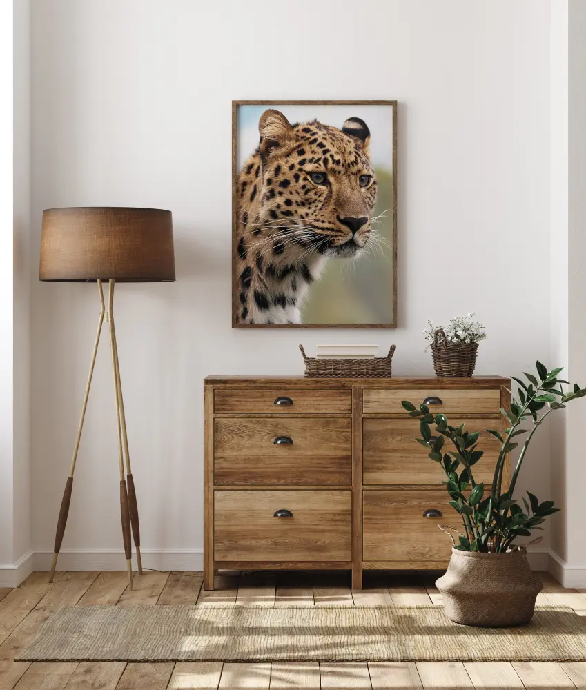 Chetah Poster