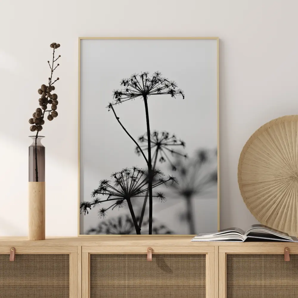 Black And White Flowers Poster