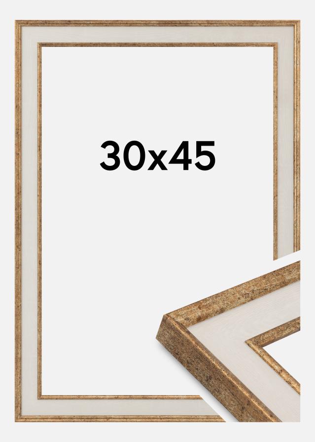 Ramă Dolly Sticlă acrilică Auriu 30x45 cm
