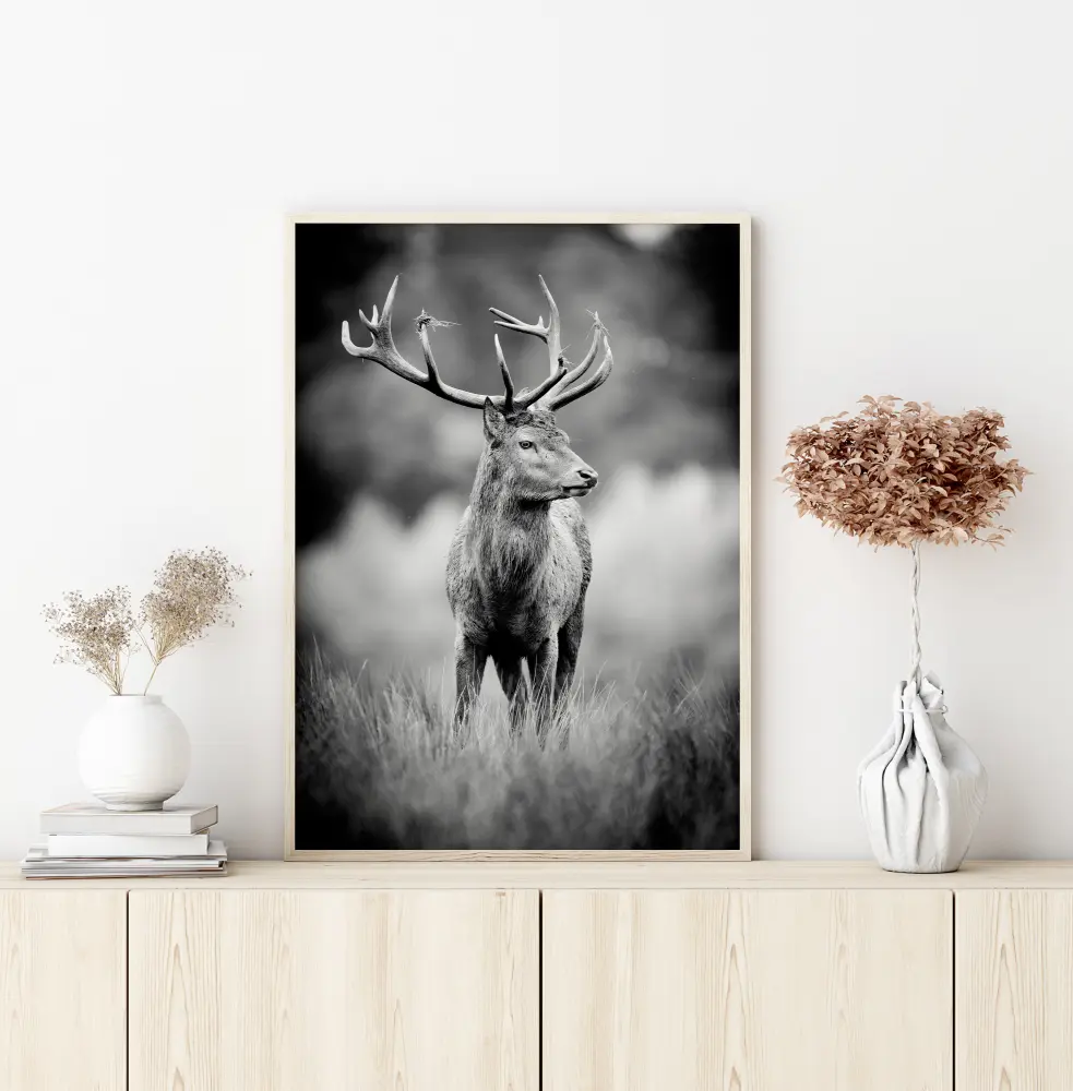 Deer With Horns Poster