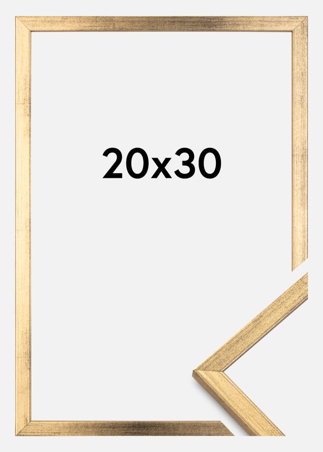 Ramă Galant Auriu 20x30 cm
